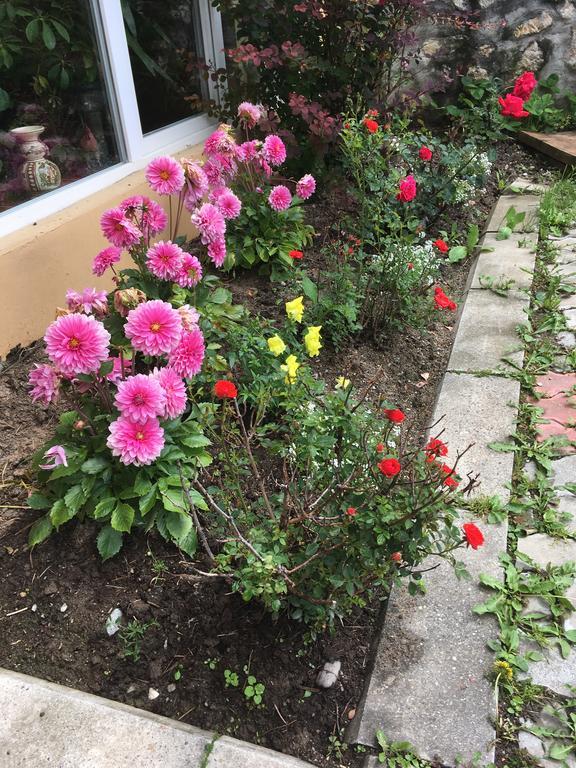 Pensiunea Felyviss ألباك المظهر الخارجي الصورة